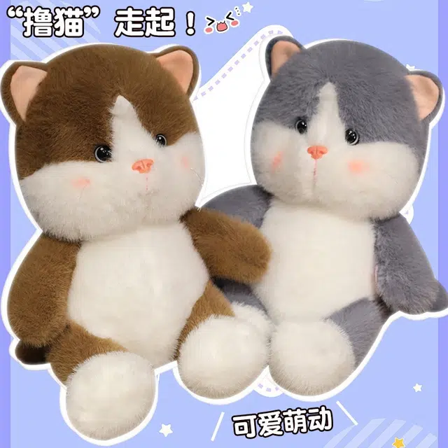 25cm35cm45cm