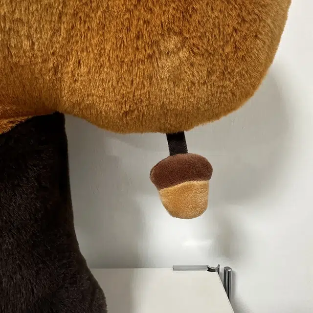55cm