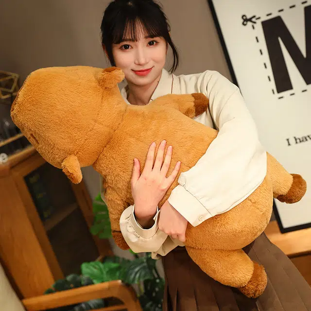 60cm80cm