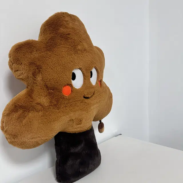55cm