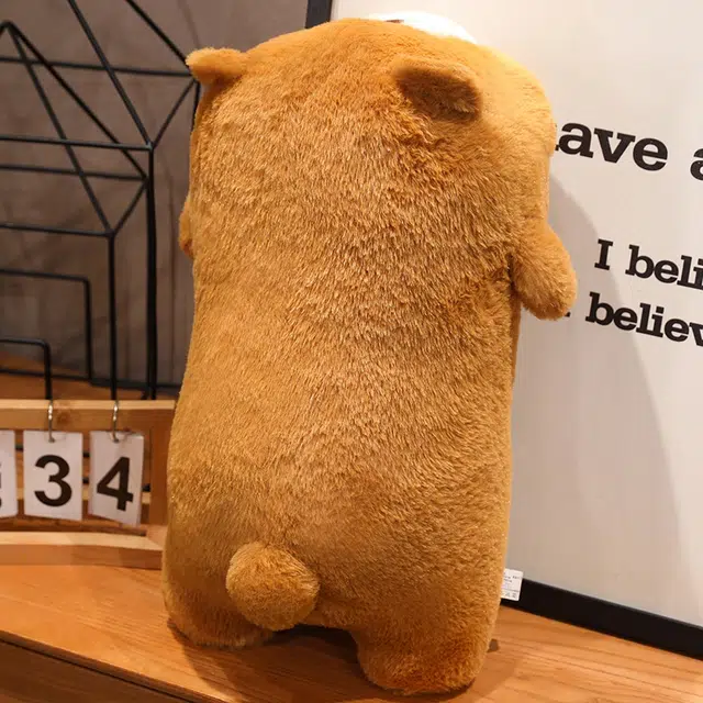 50cm
