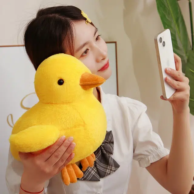 30cm40cm
