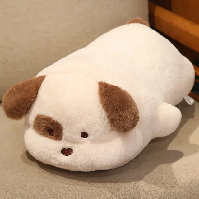 50cm