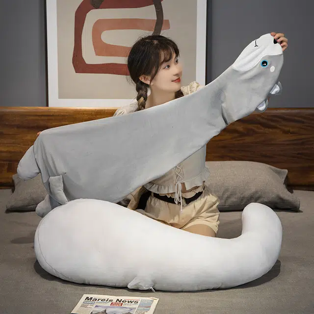 70cm90cm