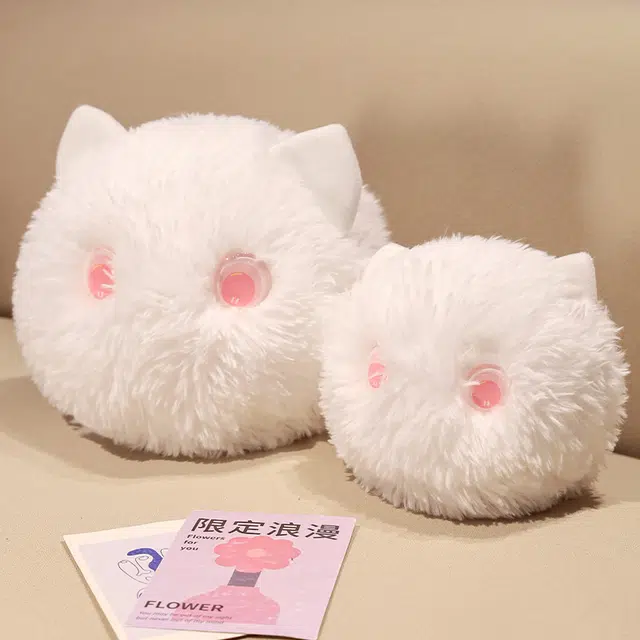 15cm20cm