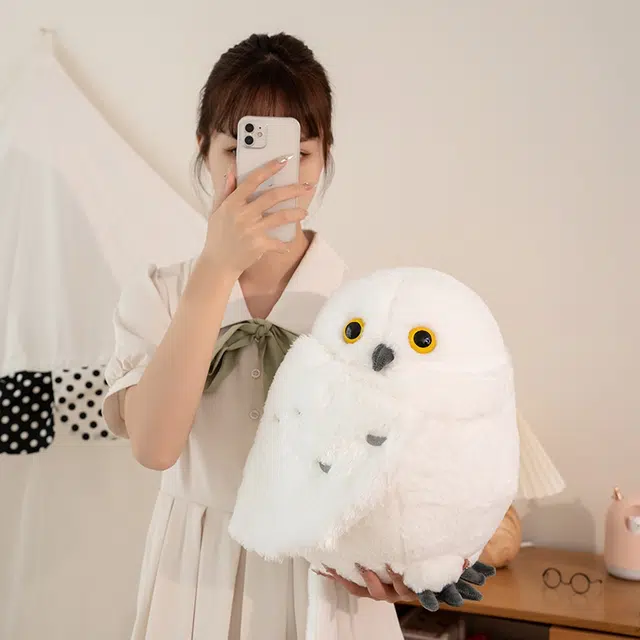 30cm36cm