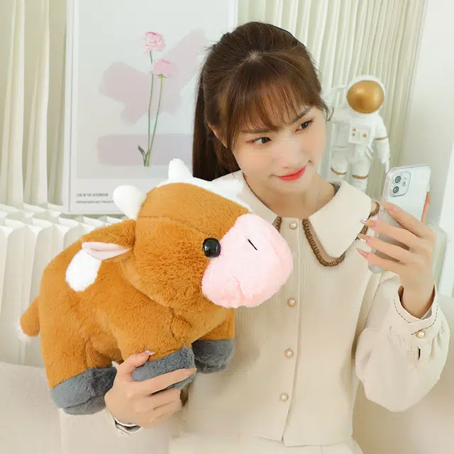 20cm27cm
