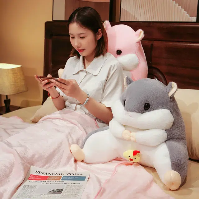 40cm55cm