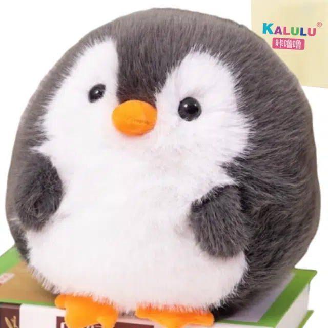 20cm