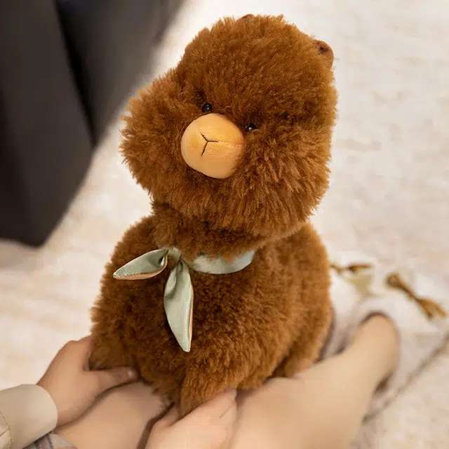 22cm35cm45cm
