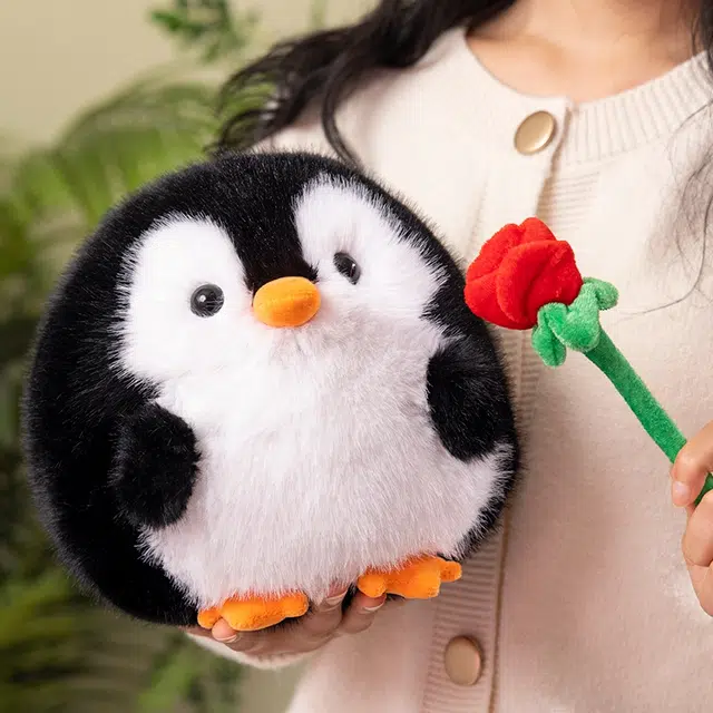 20cm