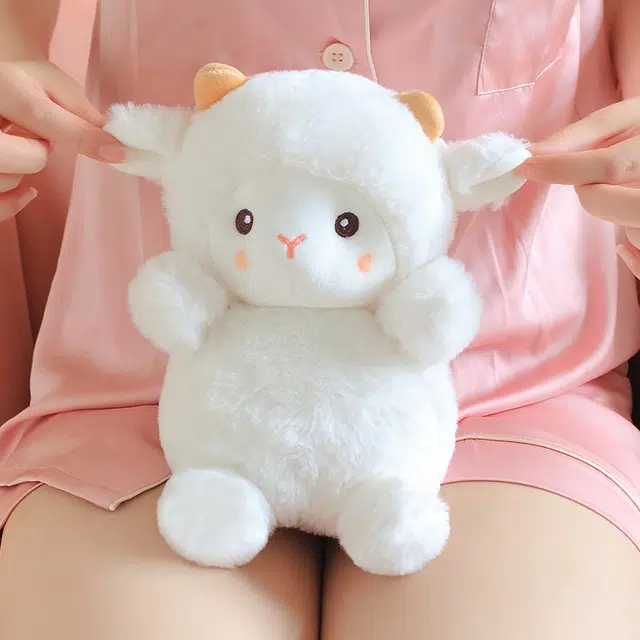 23cm