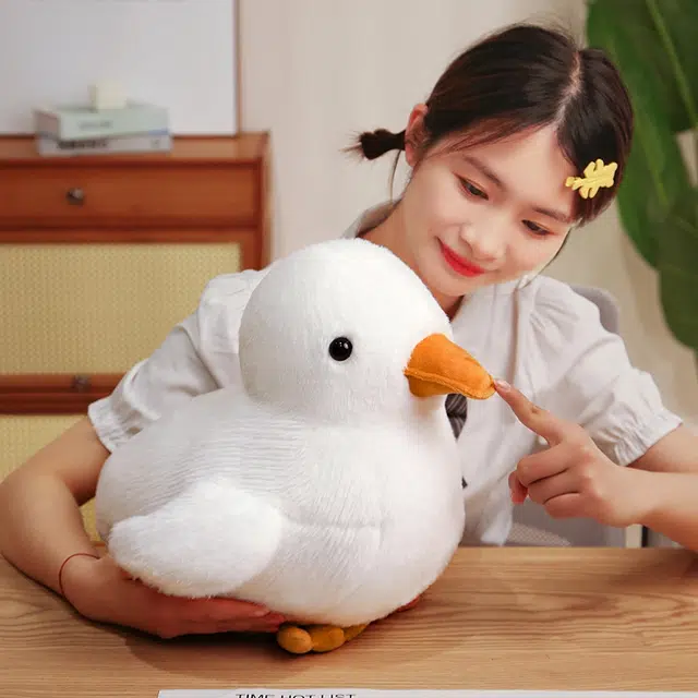 30cm40cm