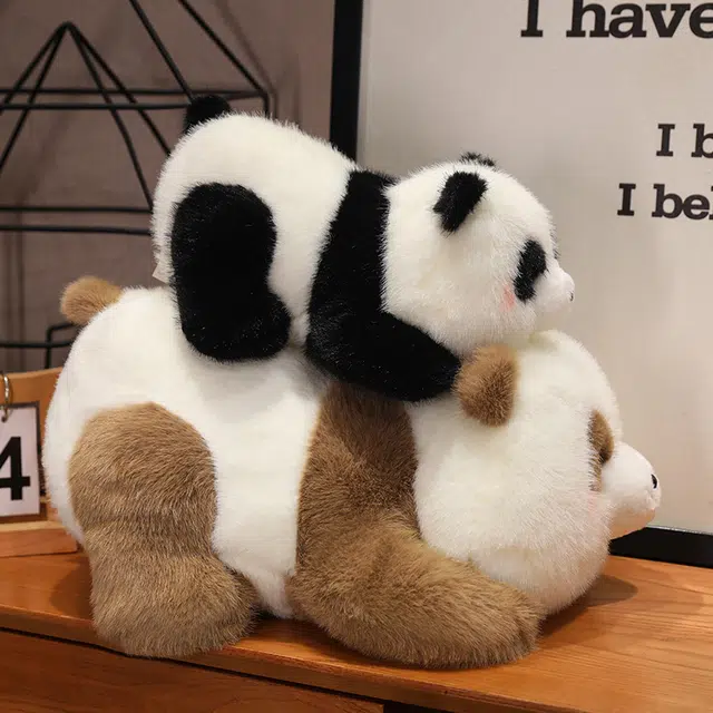25cm35cm45cm