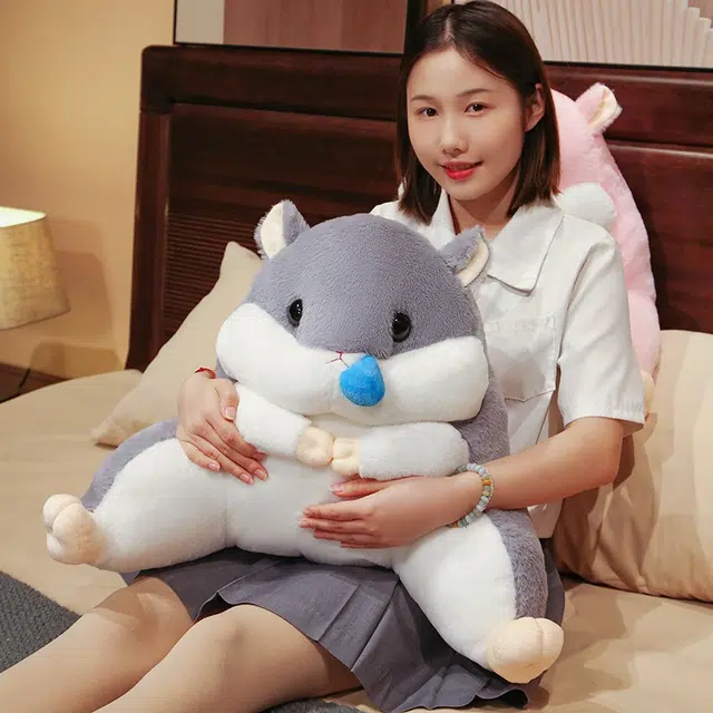 40cm55cm