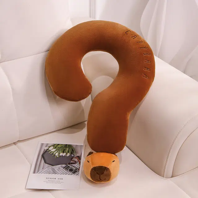 50cm