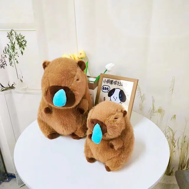 30cm40cm50cm