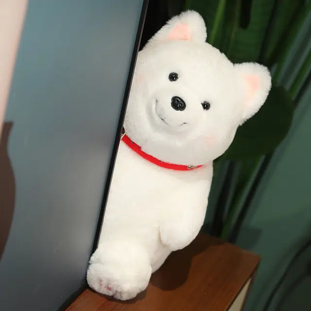 253545cm