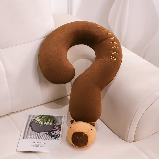 50cm