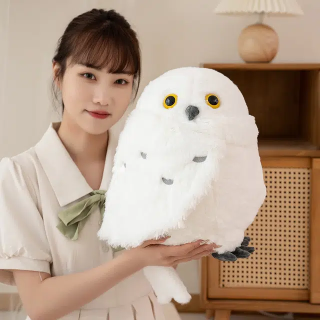 30cm36cm