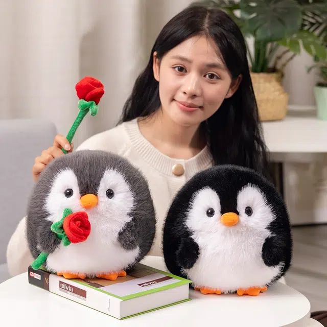 20cm