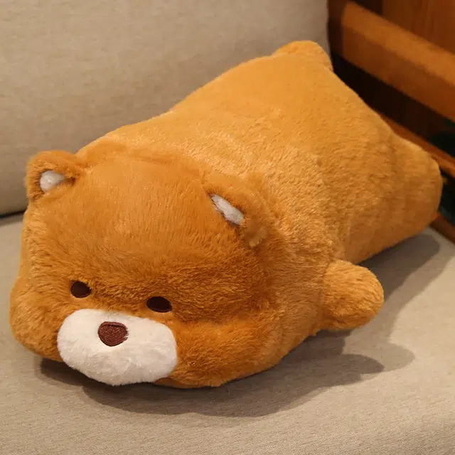 50cm