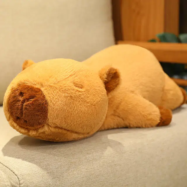 60cm80cm