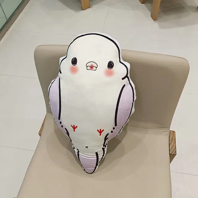 50cm