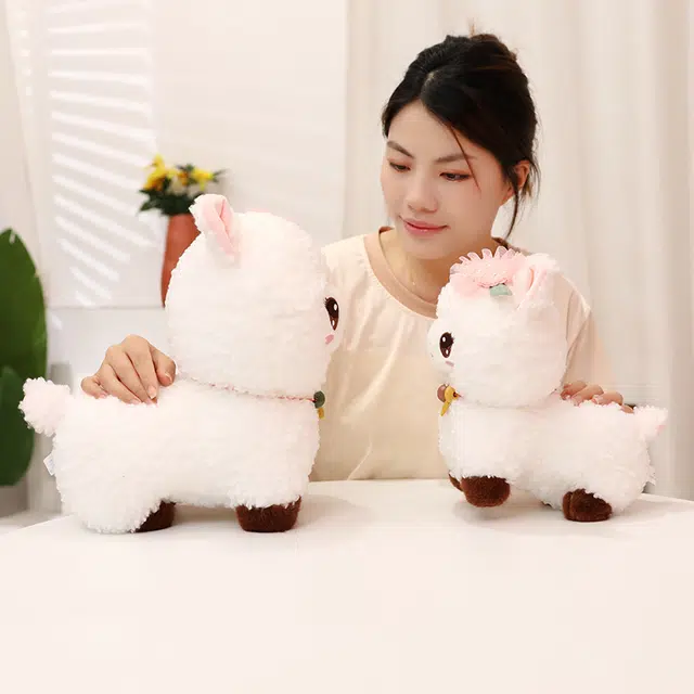 25cm30cm