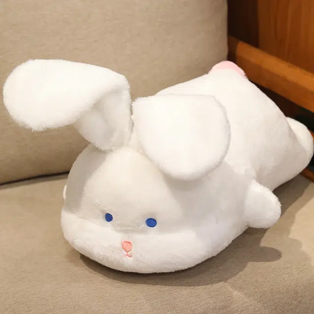 50cm