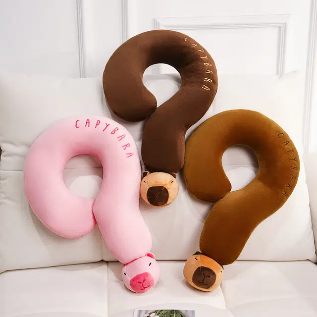 50cm