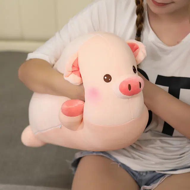 50cm60cm80cm100cm