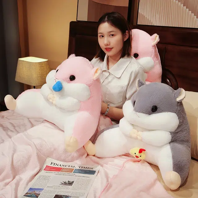 40cm55cm