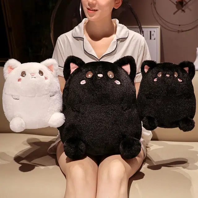 25cm35cm