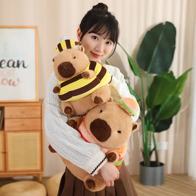 30cm40cm