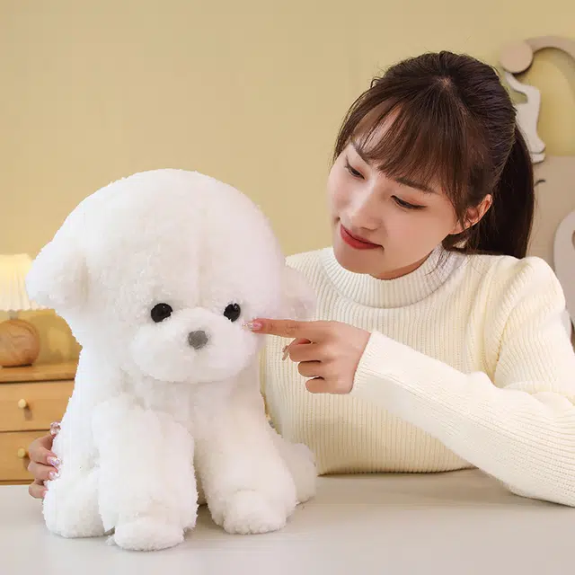30cm35cm