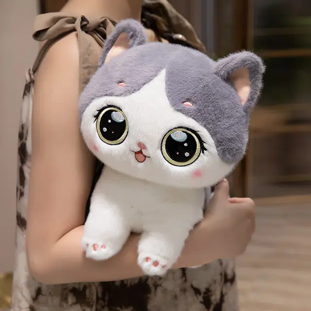 253545cm