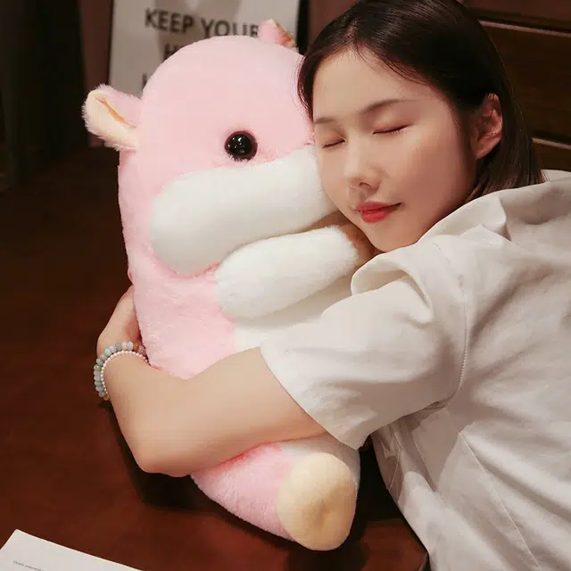 40cm55cm