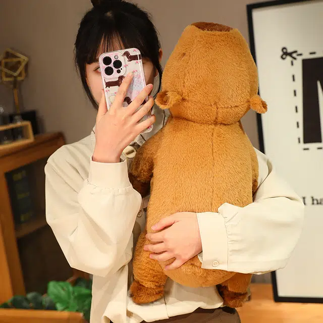 60cm80cm