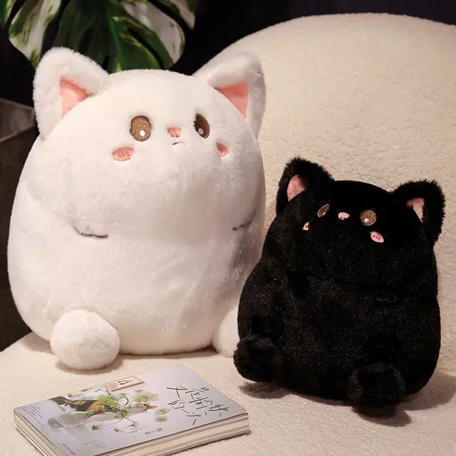 25cm35cm