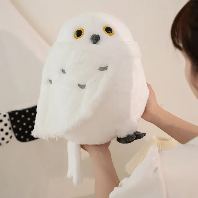 30cm36cm