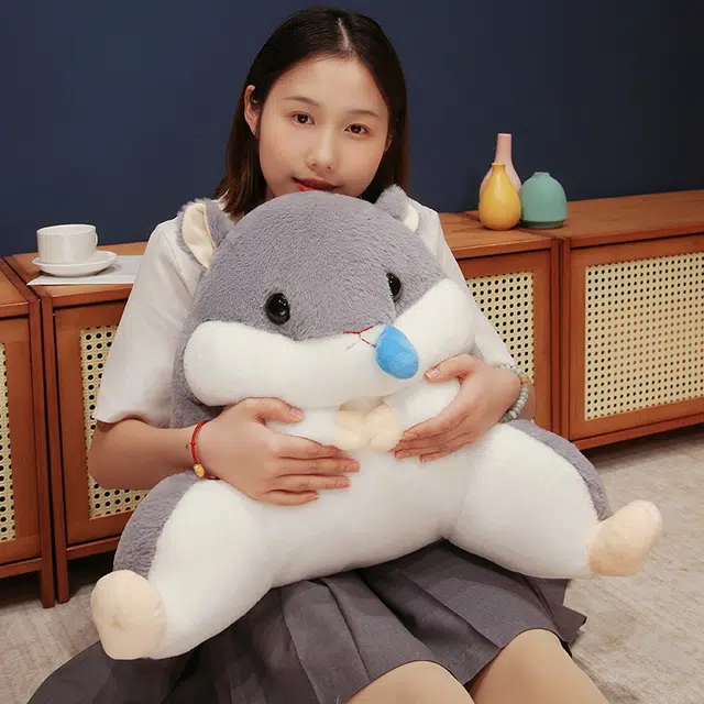 40cm55cm