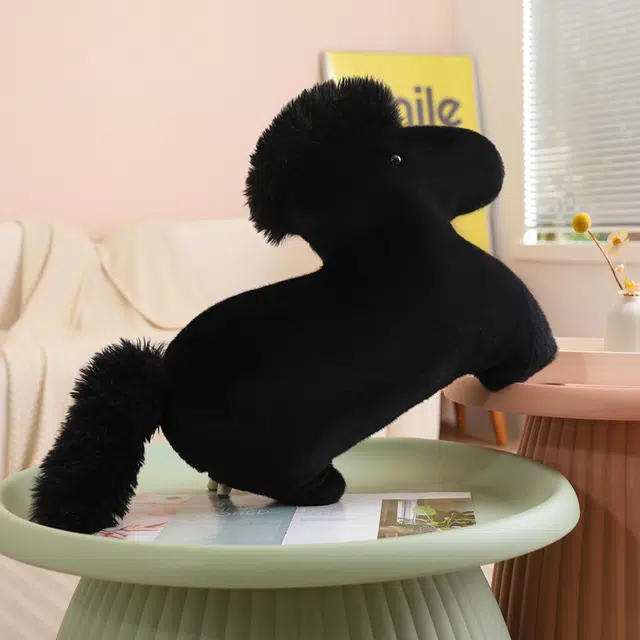 55cm