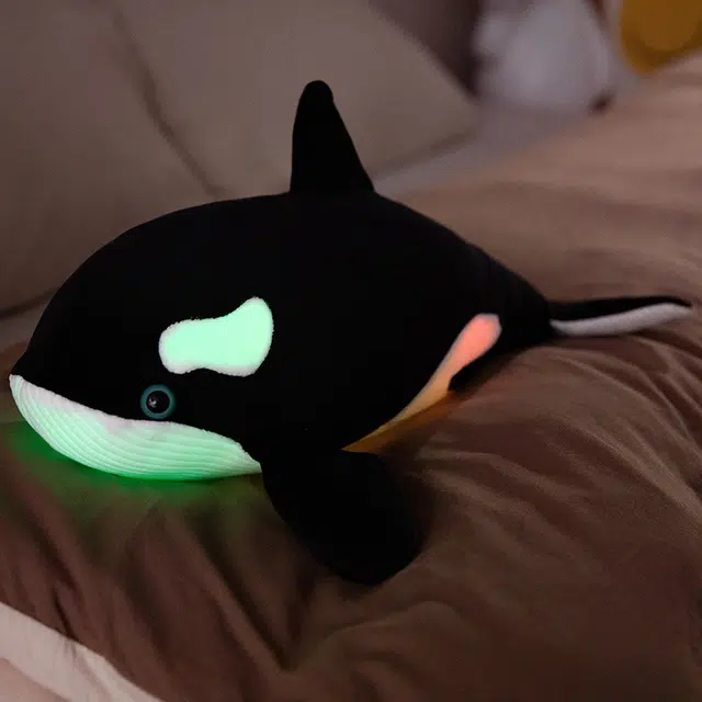 28cm40cm
