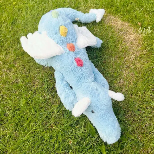 60cm