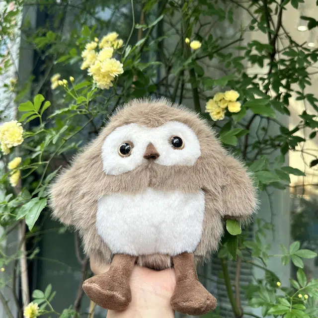 20cm