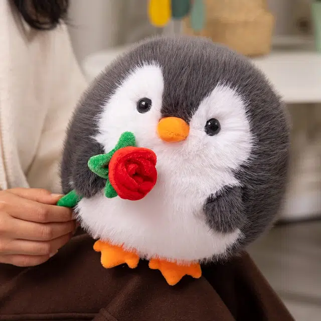 20cm