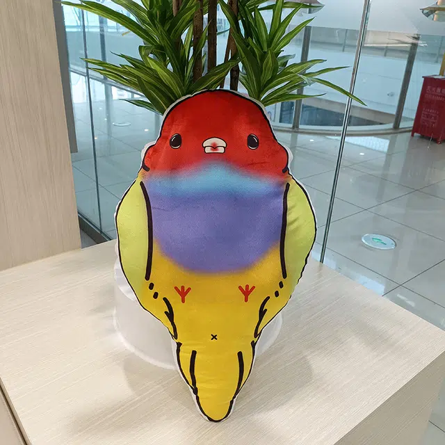 50cm