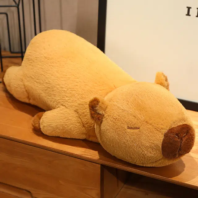 60cm80cm