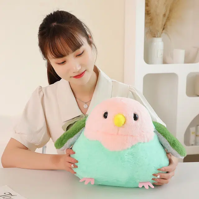 25cm30cm